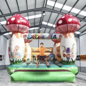 HINCHABLE-SETILANDIA-INTERIOR