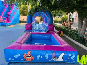 hinchables acuáticos Valencia (1)